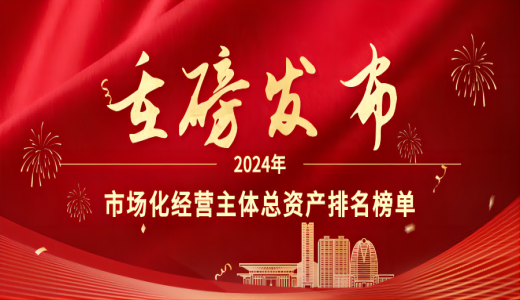 重磅丨城投市場化業(yè)務經(jīng)營啟示錄：2024年市場化經(jīng)營主體總資產(chǎn)排名榜單