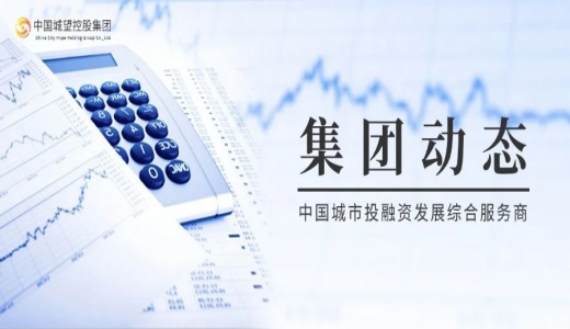 集團(tuán)動態(tài)丨城望集團(tuán)2025年年會圓滿舉行！共襄盛舉展望未來